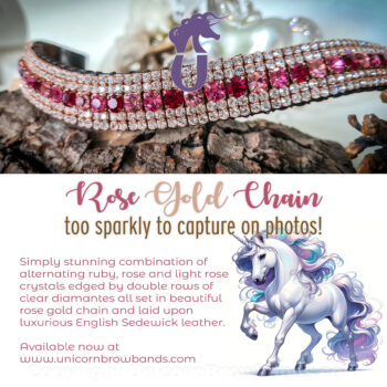 Sparkling Ruby and Rose Preciosa Crystal Browband with Rose Gold Settings for Horses