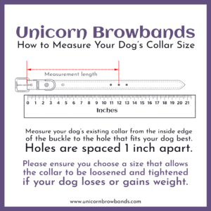 Guide for measuring your dog's collar size accurately.