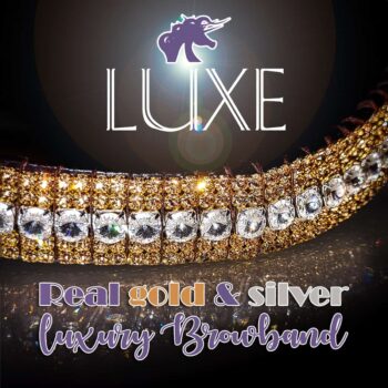 luxe real gold and silver rivoli preciosa bling browband